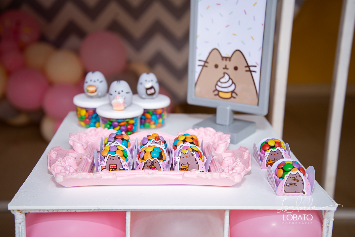 esta-infantil-pusheen-cat-festa-personalizada-aniversario-oito-anos-menina-fotografia-de-aniversario-foto-de-festa-infantil-fotografo-em-barbacena-isabela-lobato-fotografia