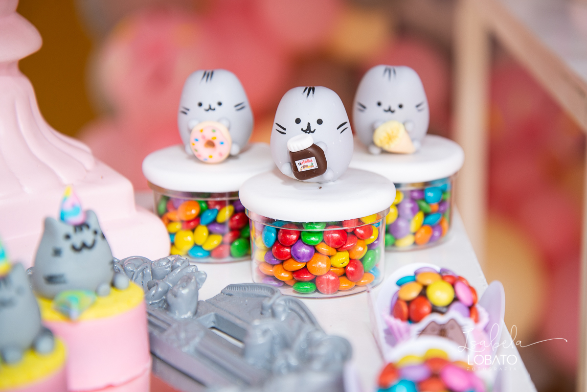 esta-infantil-pusheen-cat-festa-personalizada-aniversario-oito-anos-menina-fotografia-de-aniversario-foto-de-festa-infantil-fotografo-em-barbacena-isabela-lobato-fotografia