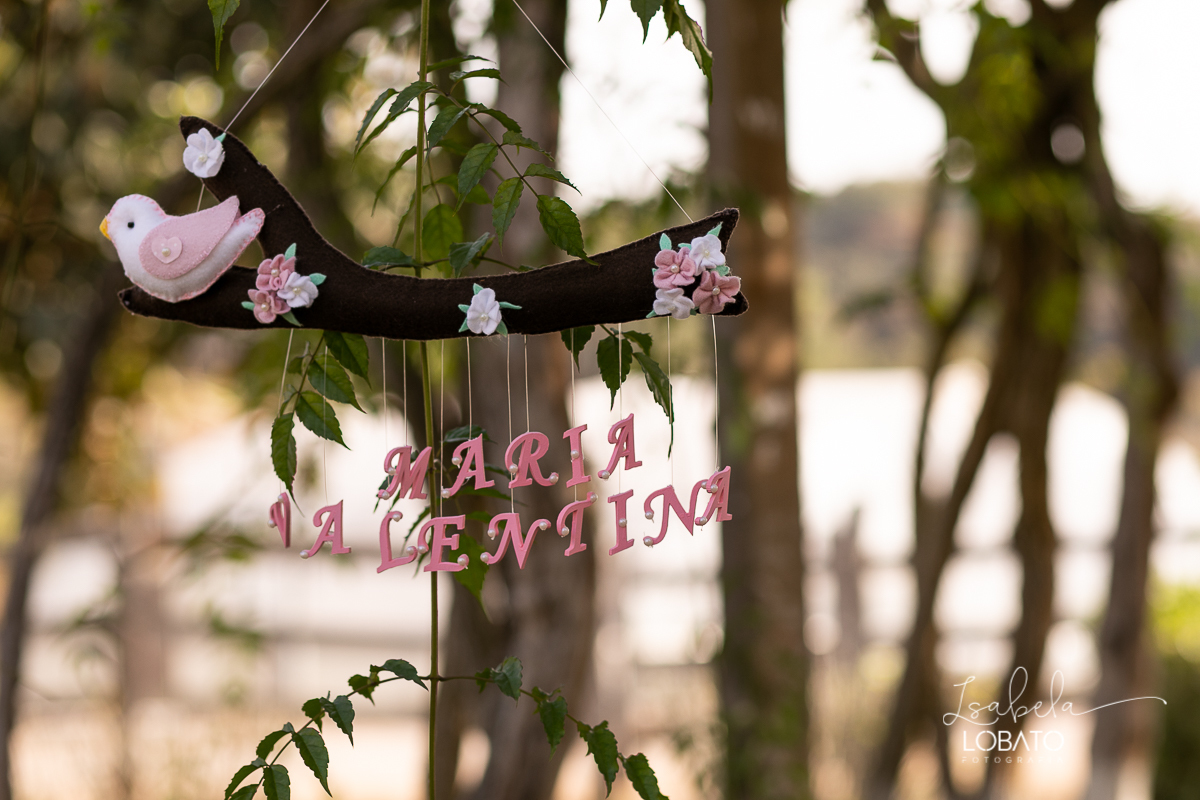 ensaio-fotografico-gestante-fotografia-de-gravida-foto-de-gestante-book-de-gravida-doce-espera-fotografa-especializada-em-gestante-melhor-fotografo-de-barbacena-isabela-lobato-fotografia-estudio-de-fotos-em-barbacena-fotografa-de-casamentos-em-barbacena