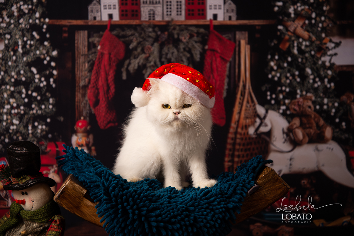 natal-2019-papai-noel-presente-de-natal-o-natal-vem-vindo-ceia-de-natal-neve-fotografia-de-natal-ensaio-fotografico-de-natal-fotografo-de-crianca-barbacena-mg-isabela-lobato-fotografia-melhores-fotografos-de-minas-gerais-estudio-fotografico-cenario-natal