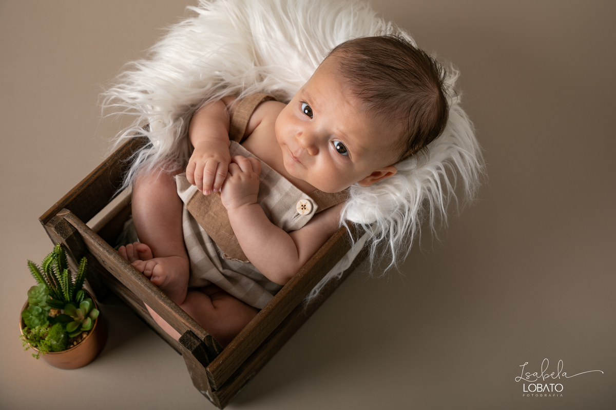 acompanhamento-mensal-fotografico-bebe-modelo-acompanhamento-trimestral-fotografico-acompanhamento-criativo-bebe-gordelicia-fases-do-bebe-desenvolvimento-do-bebe-bebe-no-balde-bebe-de-3-meses-lefotick-ensaio-fotografico-de-bebe-fotografo-em-barbacena-mg