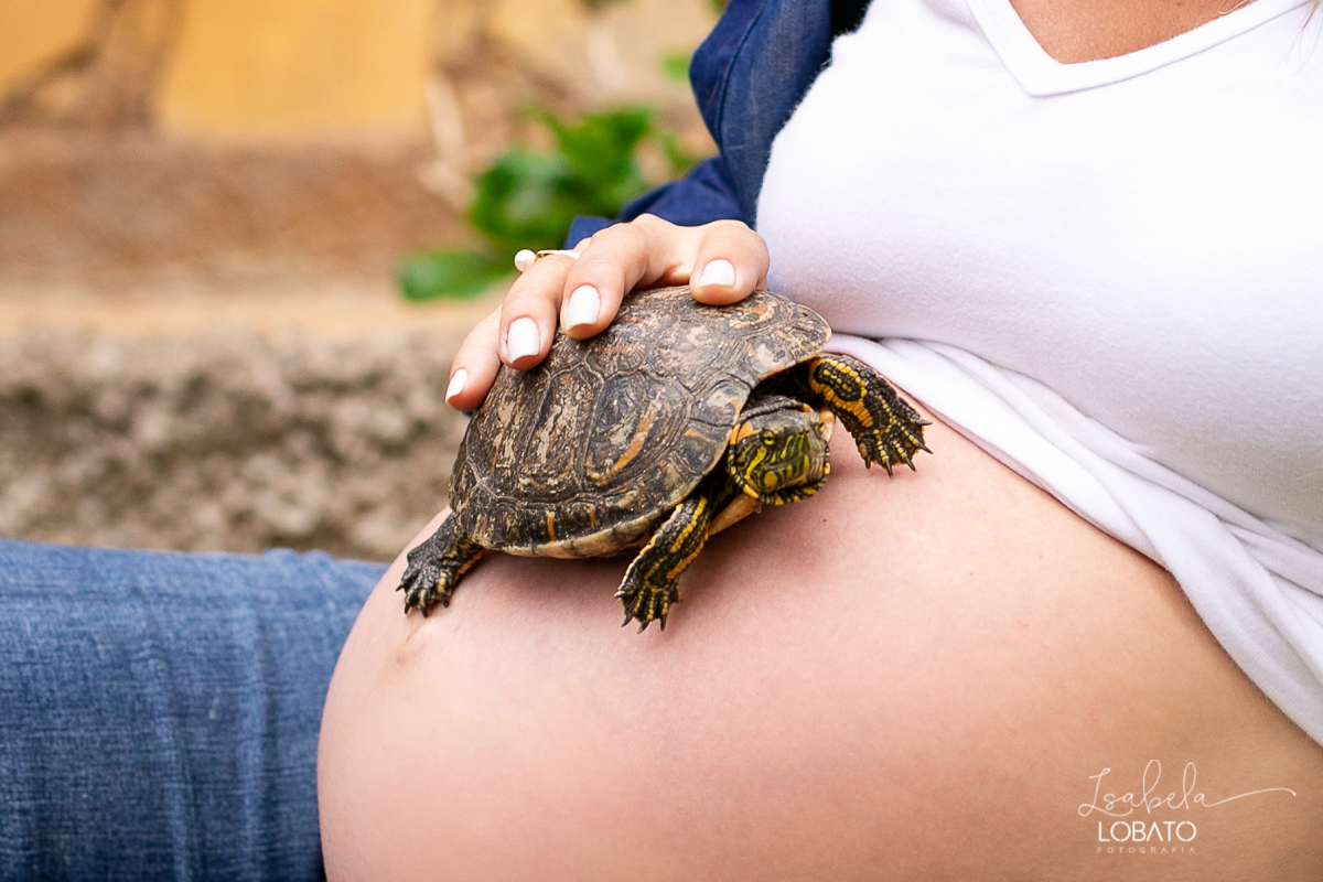 ensaio-fotografico-gestante-fotografia-de-gravida-veterinaria-animais-fotografo-pet-gestante-foto-com animais-fotografos-em-barbacena-isabela-lobato-fotografia-fotografa-de-gestantes-ensaio-fotografico-na-natureza-com-animais-e-flores-vida-de-bicho-ifet