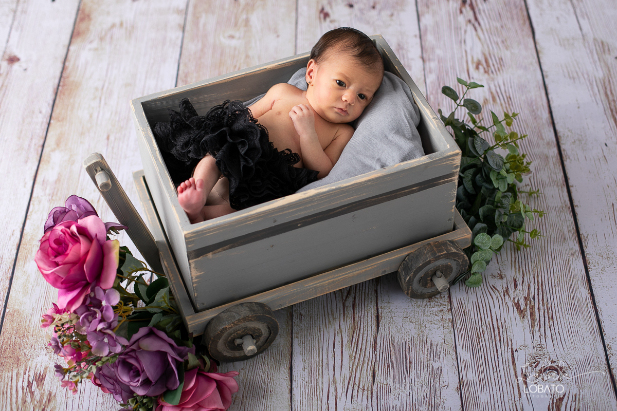 ensaio-newborn-fotografia-de-recem-nascido-fotografia-de-bebes-gemeos-newborn-de-gemeas-fotografa-de-recem-nascido-em-barbacena-isabela-lobato-fotografia-melhor-fotografa-infantil-de-barbacena-estudio-fotografico-isabela-lobato-fotografia-bebes-gemeas-bq