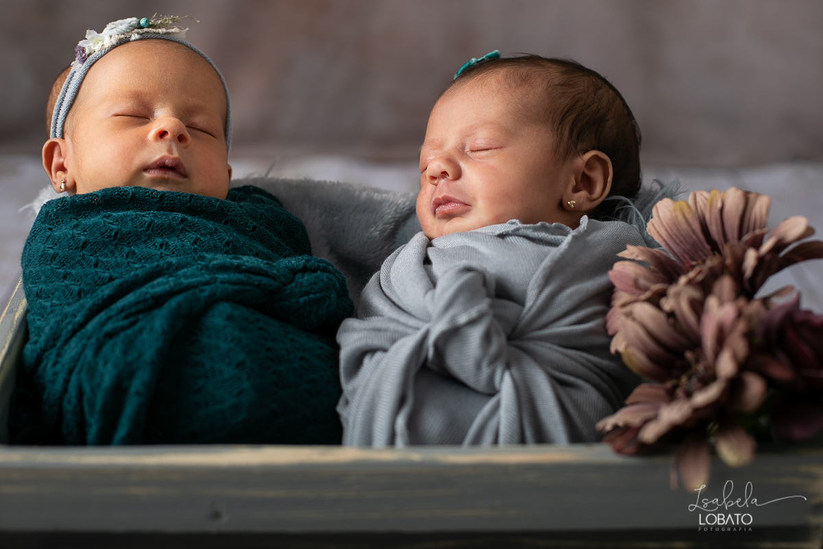 ensaio-newborn-fotografia-de-recem-nascido-fotografia-de-bebes-gemeos-newborn-de-gemeas-fotografa-de-recem-nascido-em-barbacena-isabela-lobato-fotografia-melhor-fotografa-infantil-de-barbacena-estudio-fotografico-isabela-lobato-fotografia-bebes-gemeas-bq