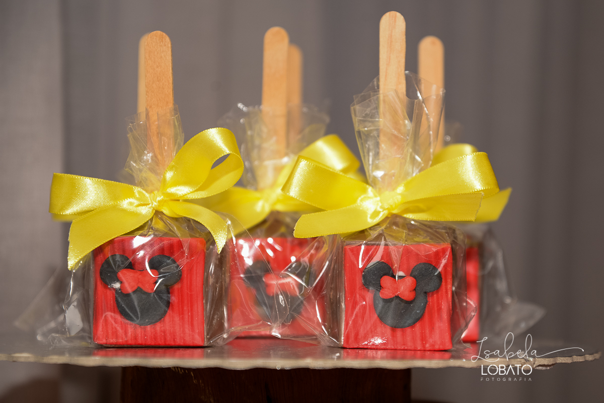festa-de-aniversario-infantil-salao-de-festas-alecrim-barbacena-festa-da-minnie-decoracao-de-festa-minnie-anivesrsario-dois-anos-fotografa-de-aniversario-infantil-em-barbacena-isabela-lobato-fotografia-melhores-fotografos-de-barbacena-isabela-lobato-fotos