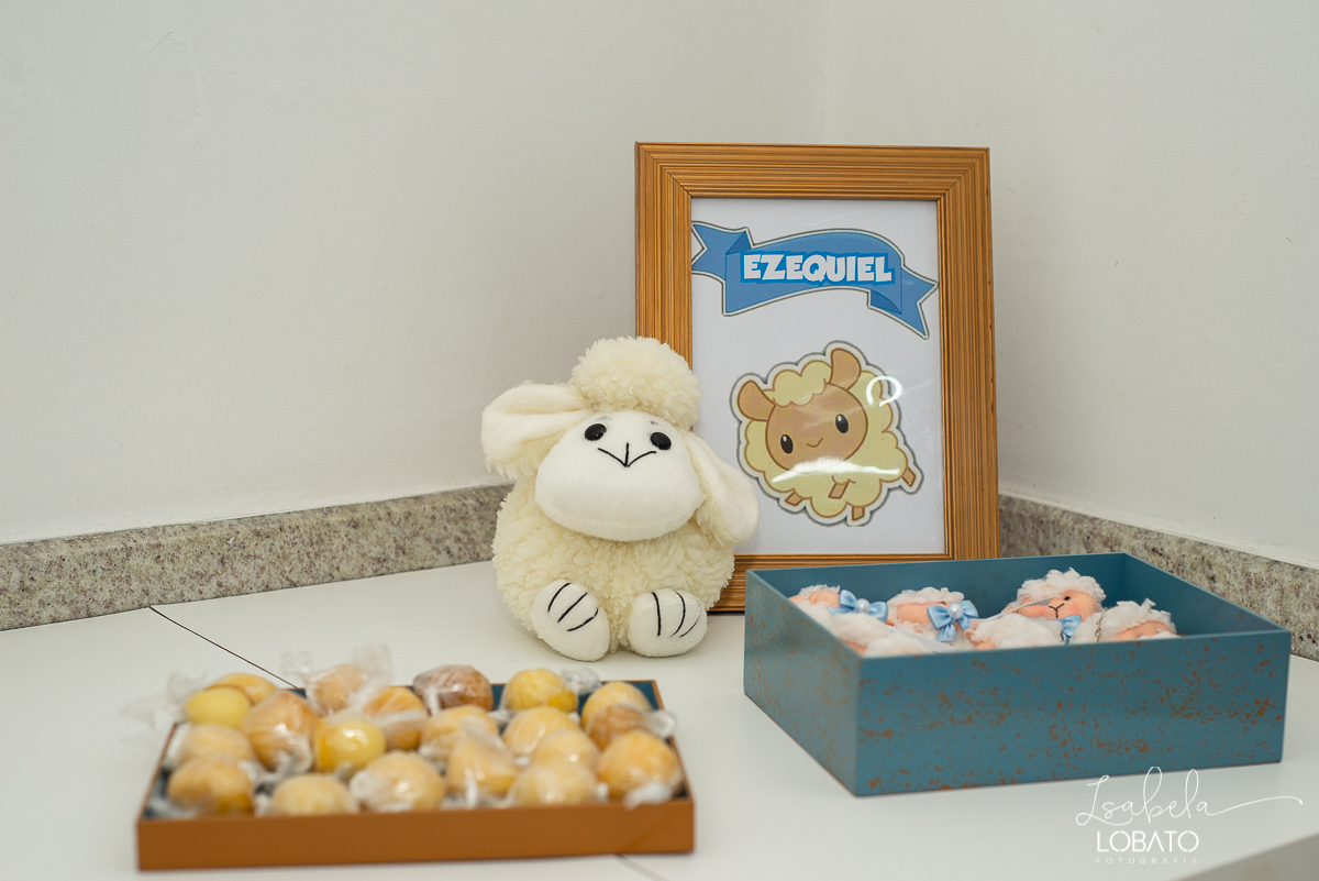 fotografia-de-parto-nascimento-de-bebe-cesariana-foto-de-bebe-nascendo-hospital-santa-casa-de-misericordia-barbacena-minas-gerais-obstetra-dra-roberta-sales-equipe-gestar-barbacena-nascimento-da-liz-fotografo-em-barbacena-estudio-isabela-lobato-fotografia