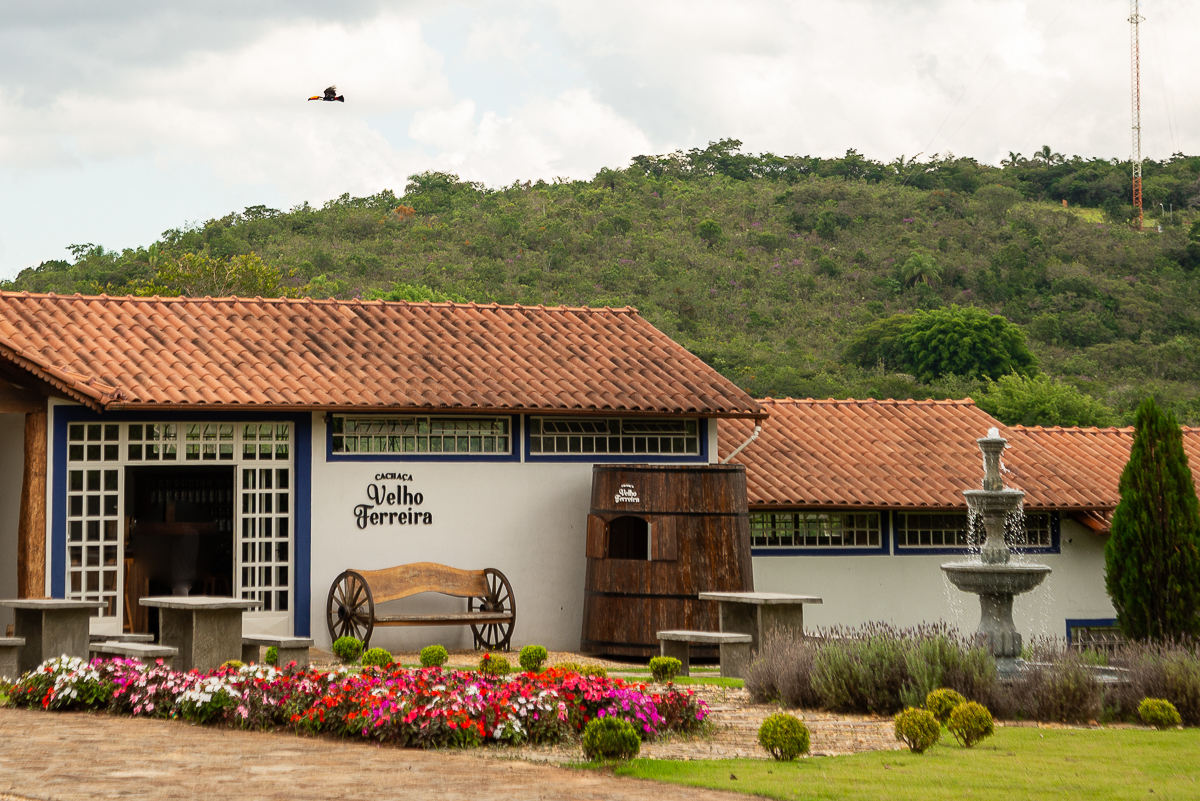 cachaca-de-minas-cachacaria-mineira-caipirinha-de-limao-caip-de-morango-cachaca-velho-ferreira-bichinho-minas-gerais-food-photo-festival-de-gastronomia-de-tiradentes-fotografa-de-bebidas-fotografa-de-comida-isabela-lobato-fotografia-melhor-fotografa-mg
