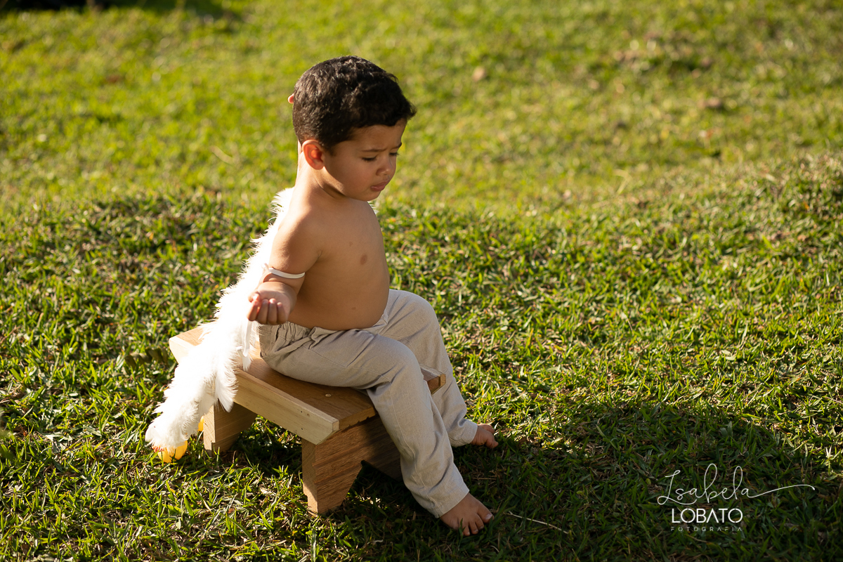 ensaio-fotografico-infantil-anjo-menino-anjo-pequeno-icaro-voar-voar-sorrir-sorrir-sonho-de-icaro-nem-tanto-ao-sol-nem-tanto-ao-mar-mitologia-grega-icaro-ensaio-fotografico-infantil-externo-em-barbacena-estudio-fotografico-isabela-lobato