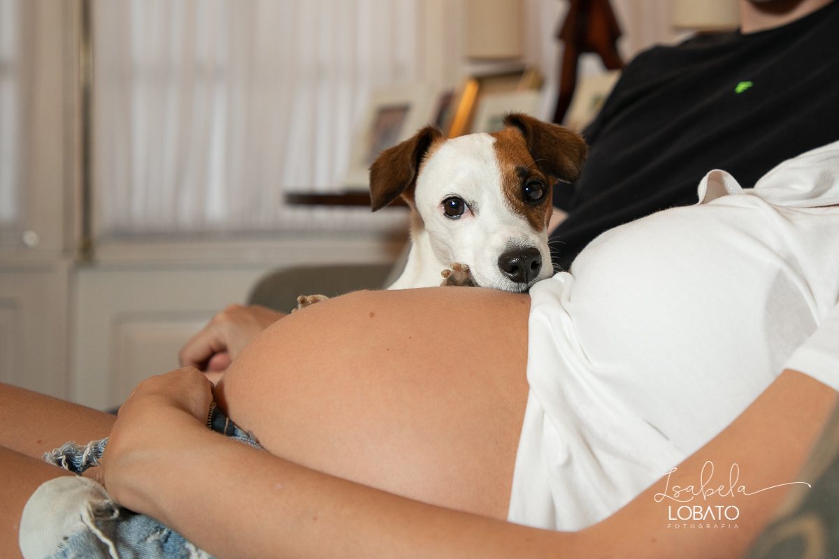 ensaio-gestante-gravidiva-gravida-look-gestante-bailarina-gravida-sapatilha-de-ponta-irmao-humano-dog-fotografa-de-gestante-estudio-fotografico-isabela-lobato-fotografia-dra-mariana-barroso-fotos-de-gestante-em-barbacena-melhor-fotografa-book-de-gestante