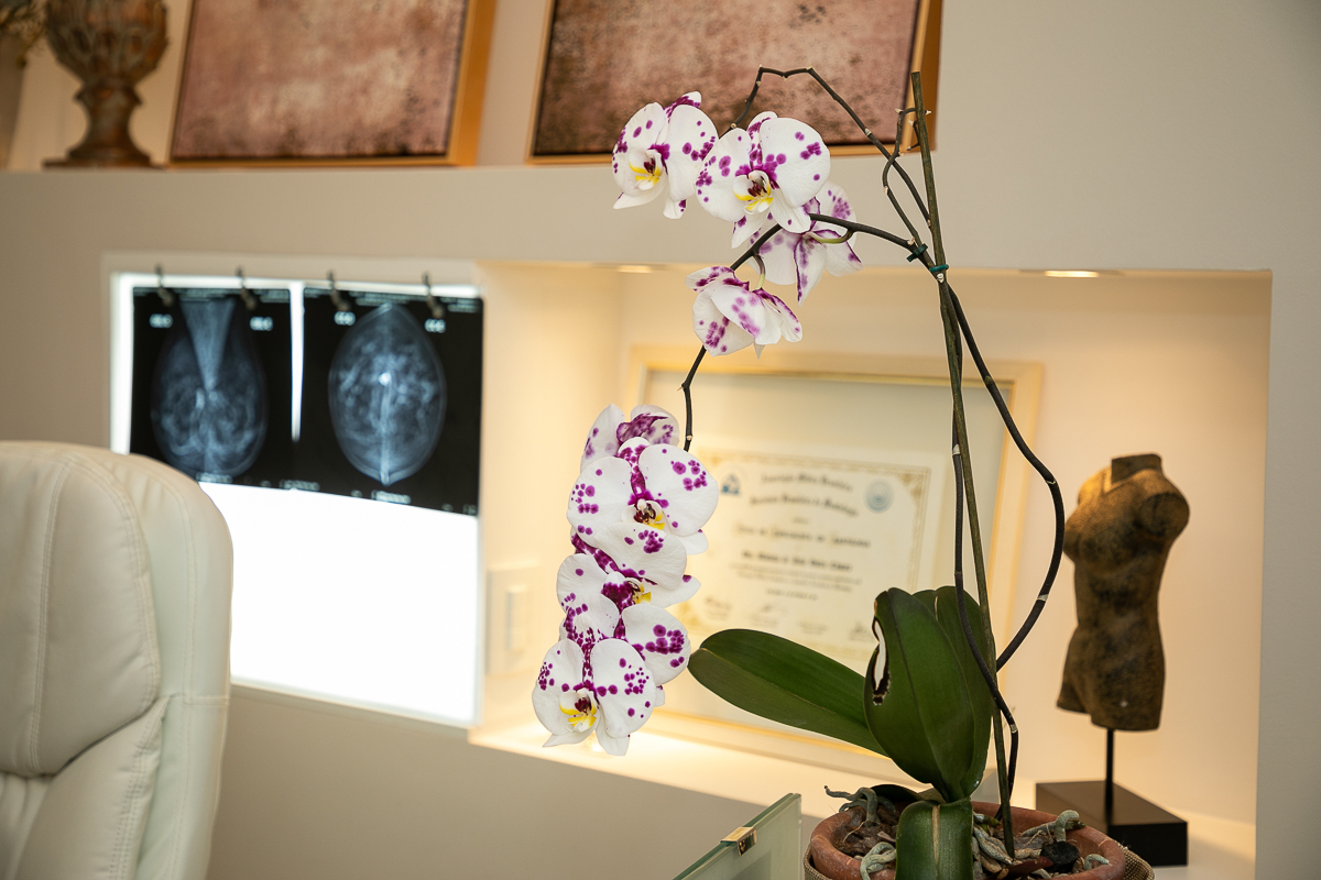 consultorio-medico-decoracao-de-consultorio-medico-de-mama-mastologista-em-barbacena-consultorio-dra-marvola-dutra-camara-marketing-de-medico-mkt-ditigal-midias-digitais-publicidade-fotos-isabela-lobato-fotografia-protese-mamaria-cancer-de-mama-tratamento