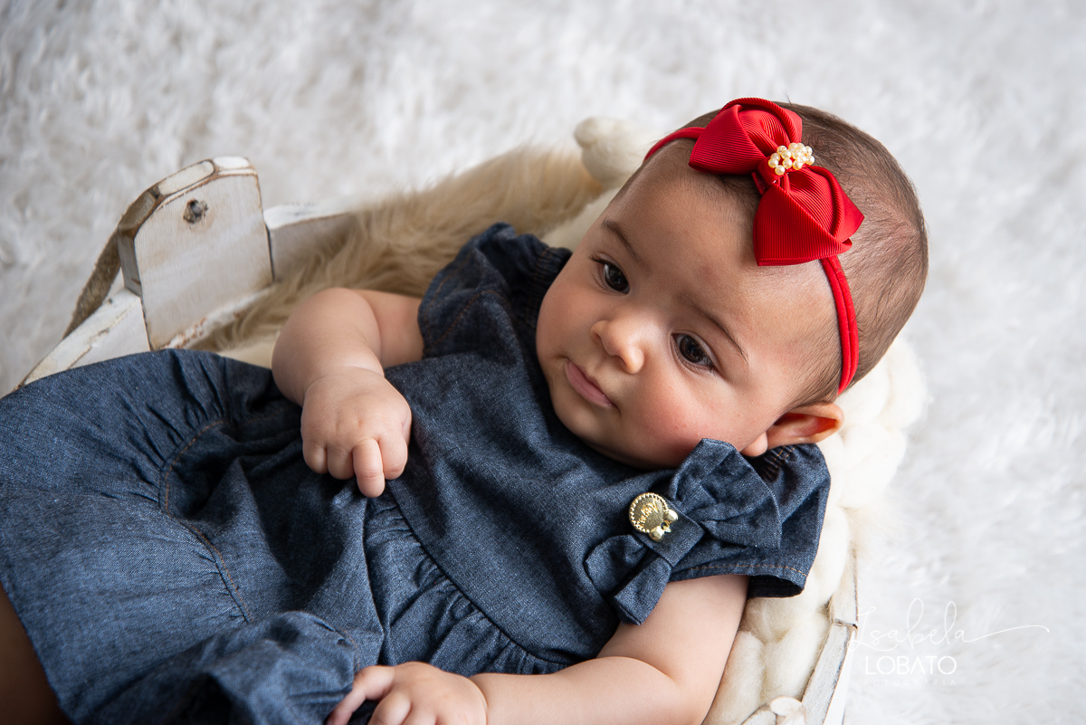 natal-2020-mini-sessao-fotografica-de-natal-ensaio-de-natal-o-natal-vem-vindo-vem-vindo-o-natal-dingo-bell-papai-noel-noite-de-natal-arvore-de-natal-boneco-de-neve-fundo-fotografico-de-natal-ideias-de-cenarios-de-natal-estudio-fotografico-barbacena