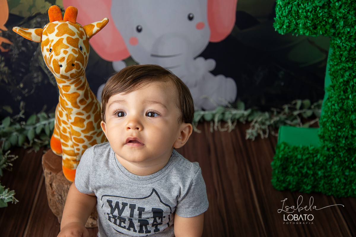fotografa-de-criancas-em-barbacena-melhor-fotografa-de-barbacena-estudio-fotografico-infantil-isabela-lobato-fotografia-a-hora-do-bolo-mundo-azul-smash-the-cake-esmagando-o-bolo-book-infantil-bq-acompanhamento-fotografico-criativo-festa-safari-decoracao