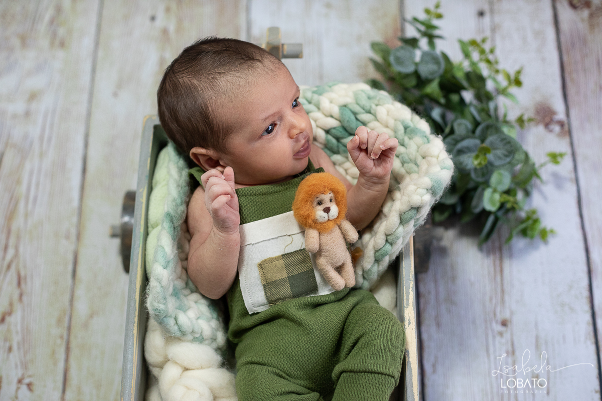 ensaio-fotografico-de-recem-nascido-fotografia-de-bebes-ensaio-newborn-bebe-recem-nascido-fotos-fotografa-de-bebes-em-barbacena-props-roupa-newborn-melhor-fotografa-de-barbacena-estudio-fotografico-infantil-isabela-lobato-fotografia-barbacena-minas-mg