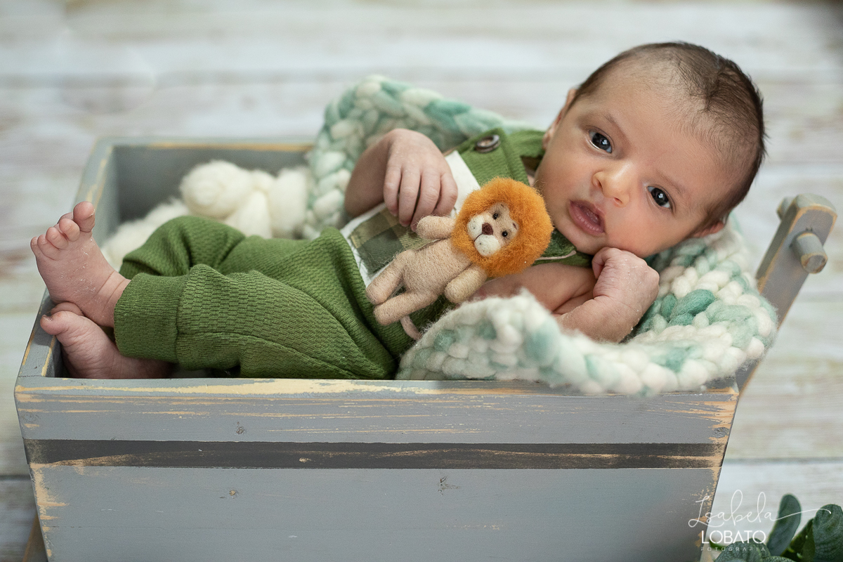 ensaio-fotografico-de-recem-nascido-fotografia-de-bebes-ensaio-newborn-bebe-recem-nascido-fotos-fotografa-de-bebes-em-barbacena-props-roupa-newborn-melhor-fotografa-de-barbacena-estudio-fotografico-infantil-isabela-lobato-fotografia-barbacena-minas-mg