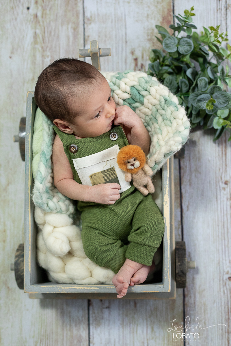 ensaio-fotografico-de-recem-nascido-fotografia-de-bebes-ensaio-newborn-bebe-recem-nascido-fotos-fotografa-de-bebes-em-barbacena-props-roupa-newborn-melhor-fotografa-de-barbacena-estudio-fotografico-infantil-isabela-lobato-fotografia-barbacena-minas-mg