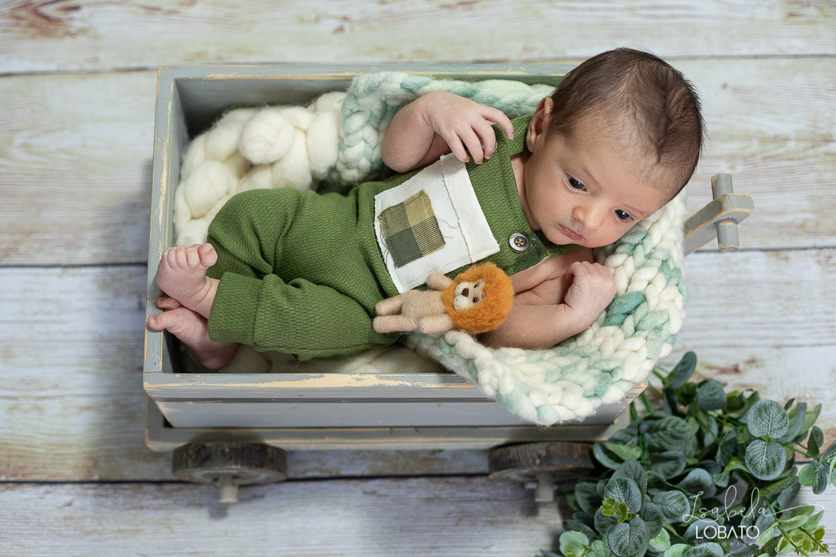 ensaio-fotografico-de-recem-nascido-fotografia-de-bebes-ensaio-newborn-bebe-recem-nascido-fotos-fotografa-de-bebes-em-barbacena-props-roupa-newborn-melhor-fotografa-de-barbacena-estudio-fotografico-infantil-isabela-lobato-fotografia-barbacena-minas-mg