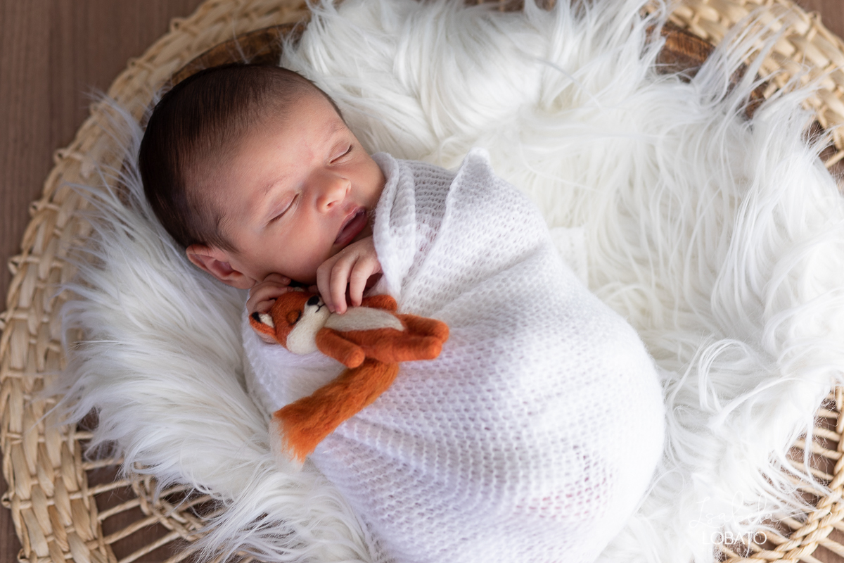 ensaio-fotografico-de-recem-nascido-fotografia-de-bebes-ensaio-newborn-bebe-recem-nascido-fotos-fotografa-de-bebes-em-barbacena-props-roupa-newborn-melhor-fotografa-de-barbacena-estudio-fotografico-infantil-isabela-lobato-fotografia-barbacena-minas-mg
