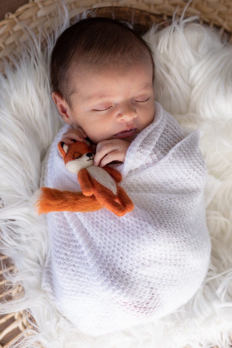 ensaio-fotografico-de-recem-nascido-fotografia-de-bebes-ensaio-newborn-bebe-recem-nascido-fotos-fotografa-de-bebes-em-barbacena-props-roupa-newborn-melhor-fotografa-de-barbacena-estudio-fotografico-infantil-isabela-lobato-fotografia-barbacena-minas-mg
