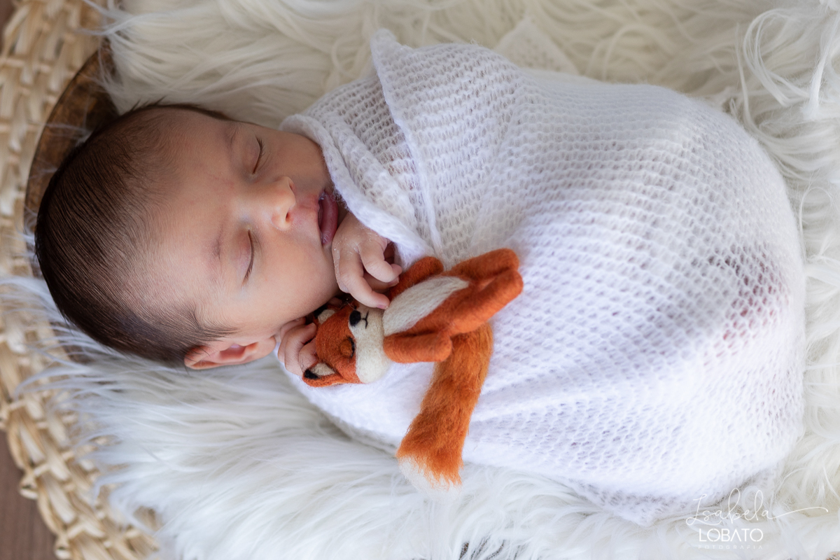 ensaio-fotografico-de-recem-nascido-fotografia-de-bebes-ensaio-newborn-bebe-recem-nascido-fotos-fotografa-de-bebes-em-barbacena-props-roupa-newborn-melhor-fotografa-de-barbacena-estudio-fotografico-infantil-isabela-lobato-fotografia-barbacena-minas-mg