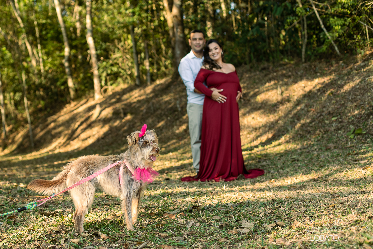 ensaio-gestante-pregnant-photography-pregnant-pregnantlifestyle-gestante-luznatural-mundorosa-lifestyle-irmao-pet-budogfrances-canon-5d-markiv-isabela-lobato-fotografia-melhor-fotografa-de-gestante-de-barbacena-roupa-de-gestante-estudio-de-fotografia-bq