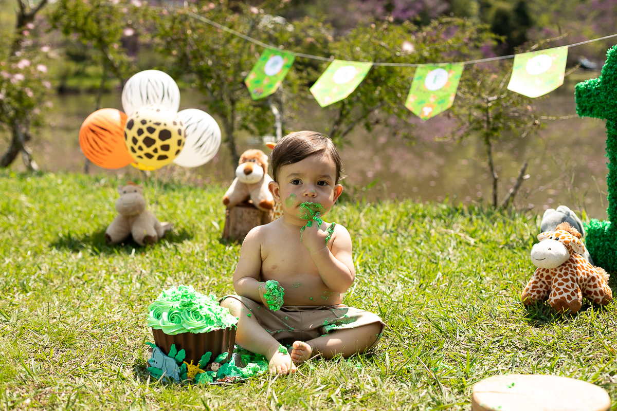 smash-the-cake-a-hora-do-bolo-ensaio-fotografico-esmagando-o-bolo-ensaio-fotografico-de-um-ano-mesversario-fotografa-especializada-em-criancas-em-barbacena-ensaio-safari-park-hotel-mantiqueira-barbacena-isabela-lobato-fotografia-barbacena