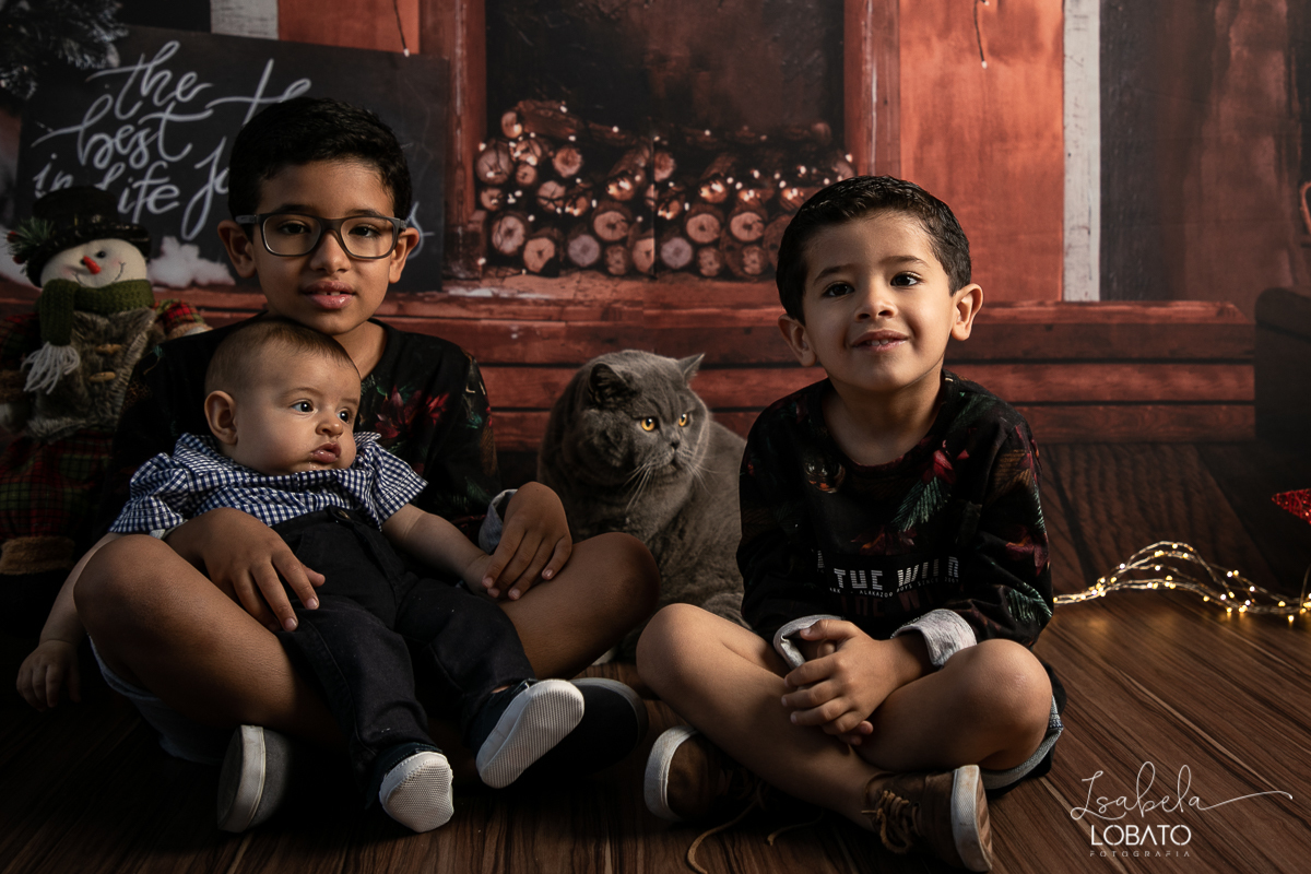 sessao-fotografica-de-natal-mini-sessao-de-natal-fotografia-de-natal-2021-foto-de-natal-cenario-fotografico-de-natal-fundo-fotografico-de-natal-wentz-fundos-fotograficos-britsh-short-hair-gato-britanico-pelo-curto-isabela-lobato-fotografia-estudio-bq