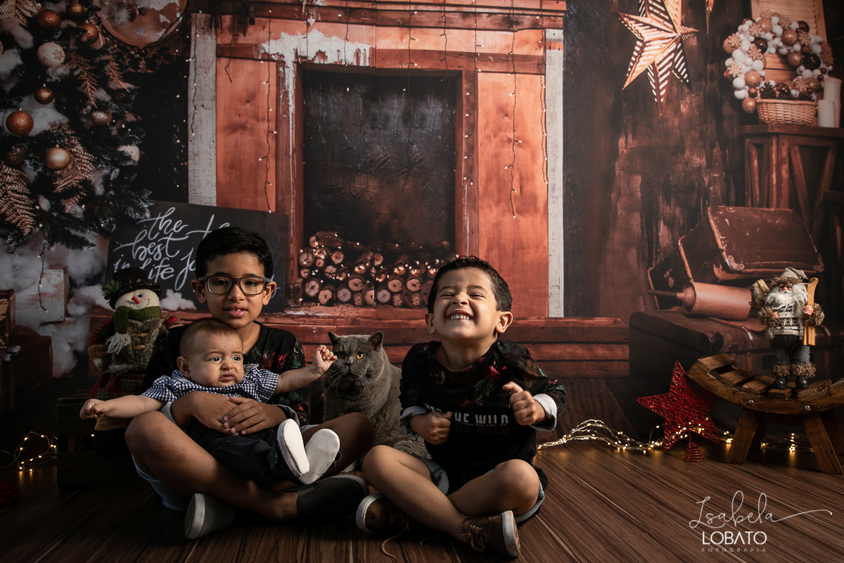 sessao-fotografica-de-natal-mini-sessao-de-natal-fotografia-de-natal-2021-foto-de-natal-cenario-fotografico-de-natal-fundo-fotografico-de-natal-wentz-fundos-fotograficos-britsh-short-hair-gato-britanico-pelo-curto-isabela-lobato-fotografia-estudio-bq