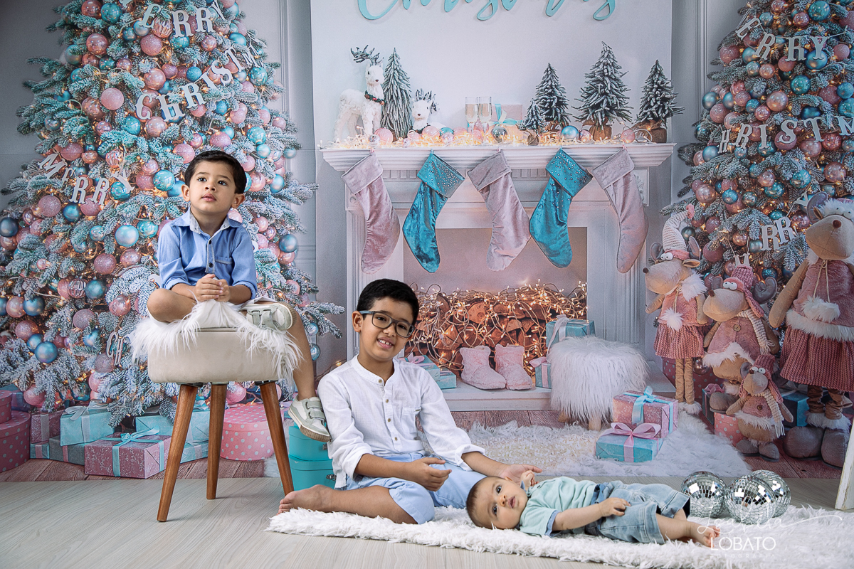 sessao-fotografica-de-natal-mini-sessao-de-natal-fotografia-de-natal-2021-foto-de-natal-cenario-fotografico-de-natal-fundo-fotografico-de-natal-wentz-fundos-fotograficos-britsh-short-hair-gato-britanico-pelo-curto-isabela-lobato-fotografia-estudio-bq