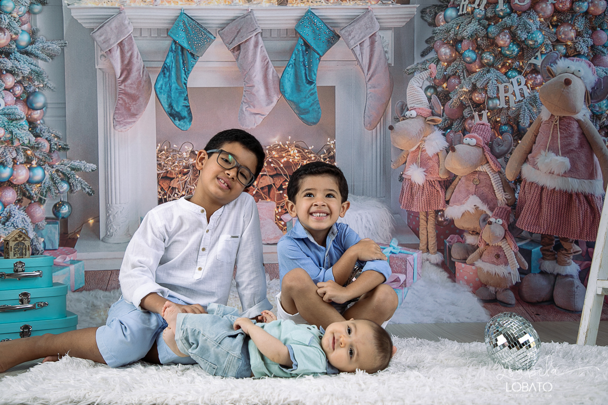 sessao-fotografica-de-natal-mini-sessao-de-natal-fotografia-de-natal-2021-foto-de-natal-cenario-fotografico-de-natal-fundo-fotografico-de-natal-wentz-fundos-fotograficos-britsh-short-hair-gato-britanico-pelo-curto-isabela-lobato-fotografia-estudio-bq