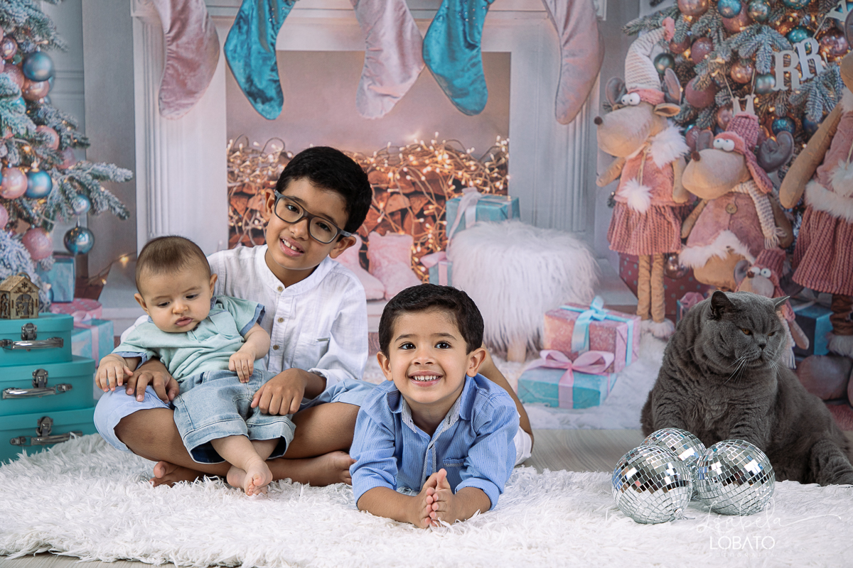 sessao-fotografica-de-natal-mini-sessao-de-natal-fotografia-de-natal-2021-foto-de-natal-cenario-fotografico-de-natal-fundo-fotografico-de-natal-wentz-fundos-fotograficos-britsh-short-hair-gato-britanico-pelo-curto-isabela-lobato-fotografia-estudio-bq