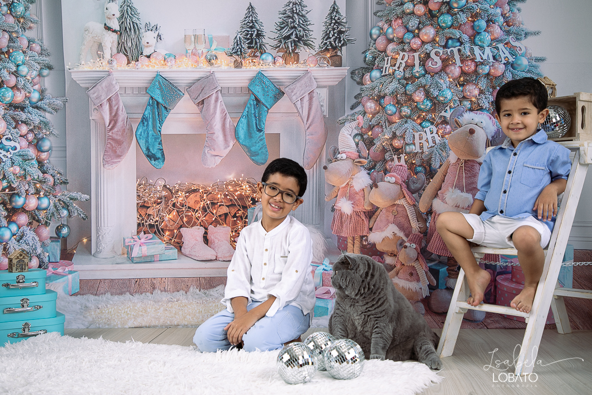 sessao-fotografica-de-natal-mini-sessao-de-natal-fotografia-de-natal-2021-foto-de-natal-cenario-fotografico-de-natal-fundo-fotografico-de-natal-wentz-fundos-fotograficos-britsh-short-hair-gato-britanico-pelo-curto-isabela-lobato-fotografia-estudio-bq