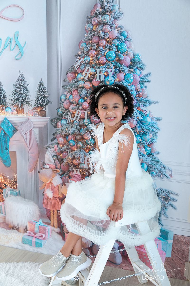 sessao-fotografica-de-natal-mini-sessao-de-natal-fotografia-de-natal-2021-foto-de-natal-cenario-fotografico-de-natal-fundo-fotografico-de-natal-wentz-fundos-fotograficos-britsh-short-hair-gato-britanico-pelo-curto-isabela-lobato-fotografia-estudio-bq