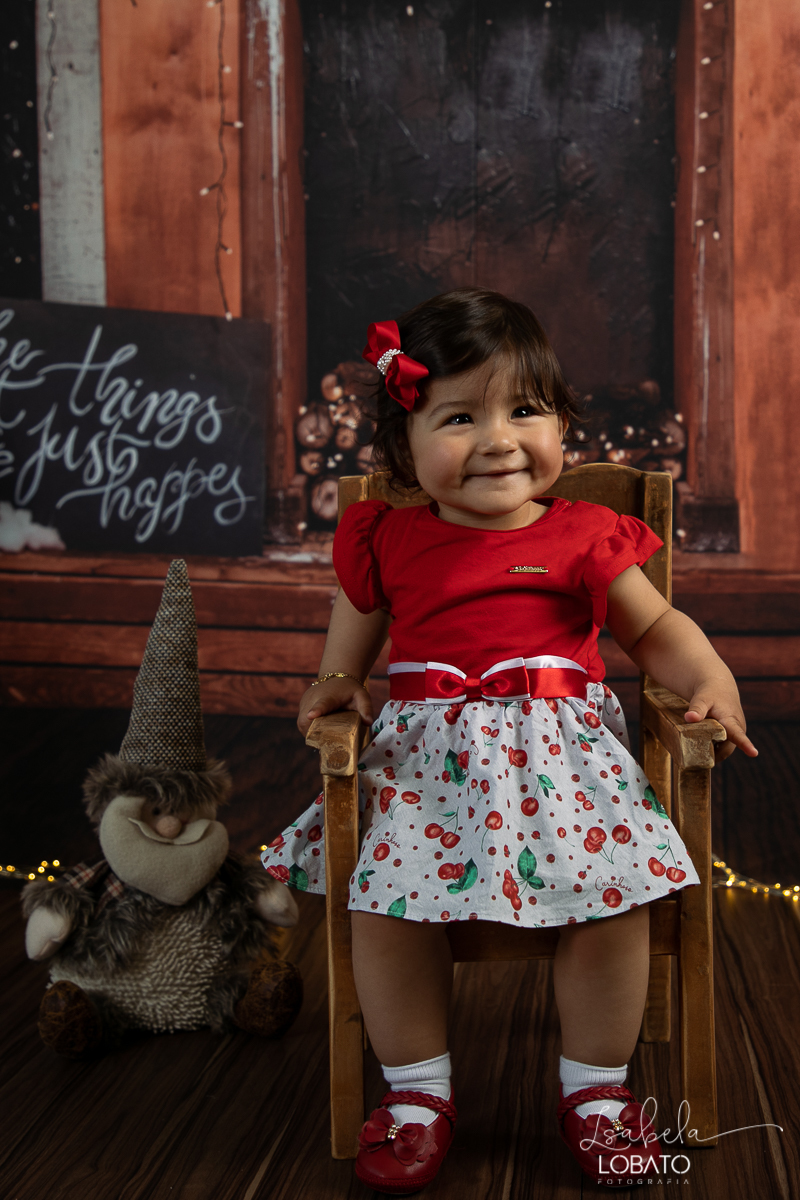 sessao-fotografica-de-natal-mini-sessao-de-natal-fotografia-de-natal-2021-foto-de-natal-cenario-fotografico-de-natal-fundo-fotografico-de-natal-wentz-fundos-fotograficos-britsh-short-hair-gato-britanico-pelo-curto-isabela-lobato-fotografia-estudio-bq