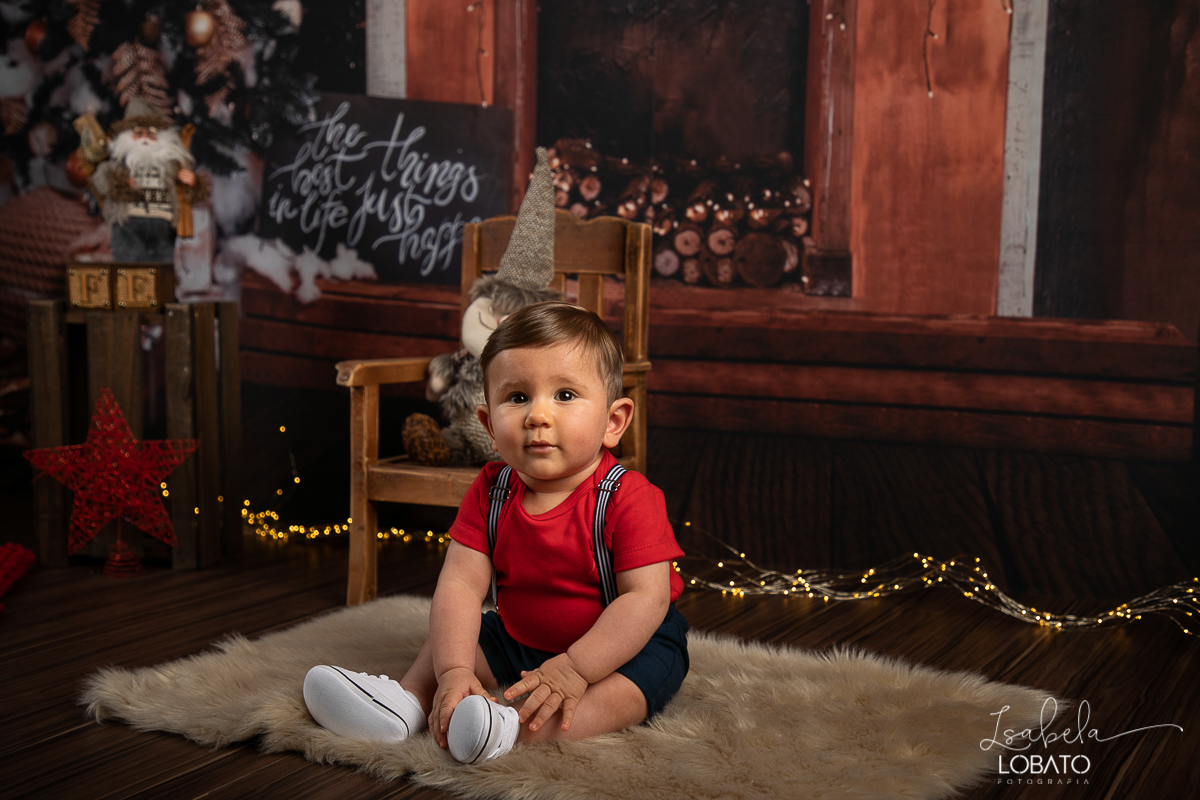 sessao-fotografica-de-natal-mini-sessao-de-natal-fotografia-de-natal-2021-foto-de-natal-cenario-fotografico-de-natal-fundo-fotografico-de-natal-wentz-fundos-fotograficos-britsh-short-hair-gato-britanico-pelo-curto-isabela-lobato-fotografia-estudio-bq