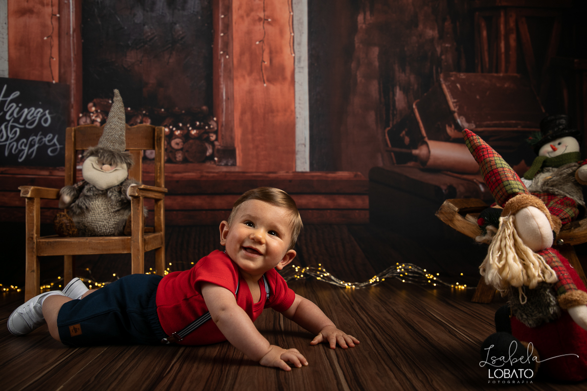 sessao-fotografica-de-natal-mini-sessao-de-natal-fotografia-de-natal-2021-foto-de-natal-cenario-fotografico-de-natal-fundo-fotografico-de-natal-wentz-fundos-fotograficos-britsh-short-hair-gato-britanico-pelo-curto-isabela-lobato-fotografia-estudio-bq