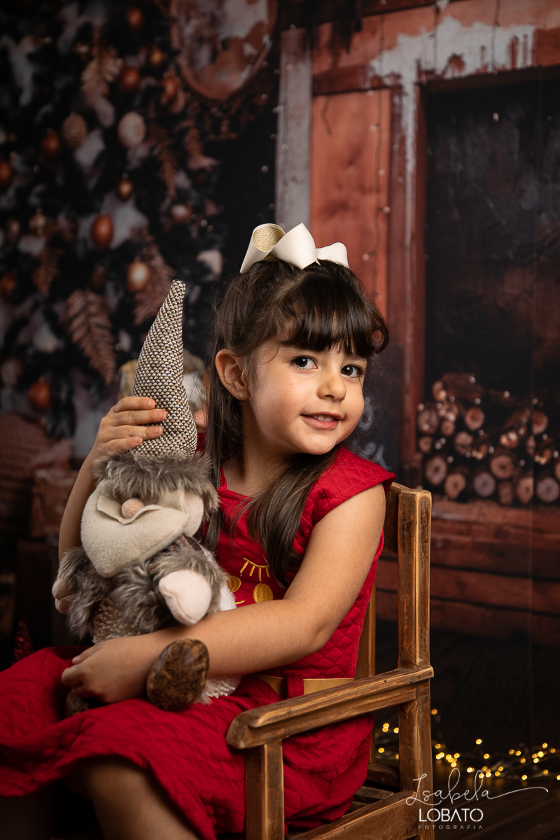 sessao-fotografica-de-natal-mini-sessao-de-natal-fotografia-de-natal-2021-foto-de-natal-cenario-fotografico-de-natal-fundo-fotografico-de-natal-wentz-fundos-fotograficos-britsh-short-hair-gato-britanico-pelo-curto-isabela-lobato-fotografia-estudio-bq