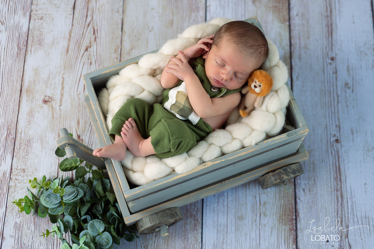 ensaio-fotografico-de-recem-nascido-ensaio-newborn-bebe-recem-nascido-sono-do-bebe-acompanhamento-fotografico-infantil-cenario-de-newborn-fundo-fotografico-para-ensaio-newborn-fotografa-especialista-em-ensaio-newborn-isabela-lobato-fotografia-barbacena-mg