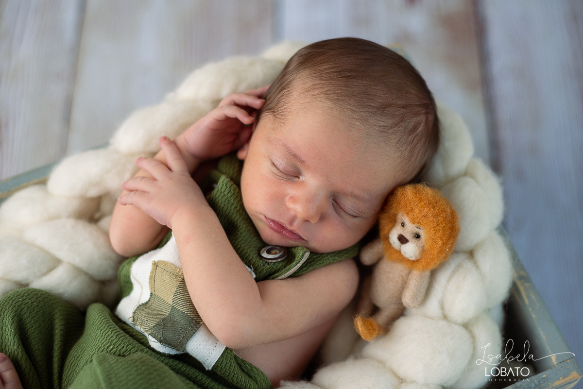 ensaio-fotografico-de-recem-nascido-ensaio-newborn-bebe-recem-nascido-sono-do-bebe-acompanhamento-fotografico-infantil-cenario-de-newborn-fundo-fotografico-para-ensaio-newborn-fotografa-especialista-em-ensaio-newborn-isabela-lobato-fotografia-barbacena-mg
