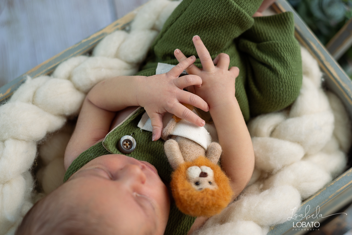 ensaio-fotografico-de-recem-nascido-ensaio-newborn-bebe-recem-nascido-sono-do-bebe-acompanhamento-fotografico-infantil-cenario-de-newborn-fundo-fotografico-para-ensaio-newborn-fotografa-especialista-em-ensaio-newborn-isabela-lobato-fotografia-barbacena-mg
