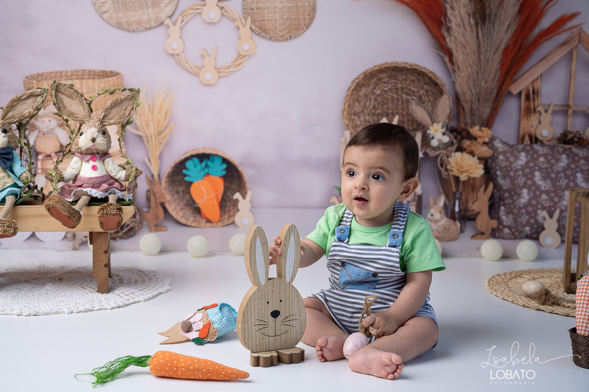 cenario-fotografico-de-pascoa-painel-fotografico-pascoa-fundo-fotografico-de-pascoa-sessão-fotografica-de-pasco-coelhinho-da-pascoa-fotos-de-pascoa-sessao-de-pascoa-2022-ovos-de-pascoa-fotografia-infantil-barbacena-cenoura-do-coelhinho-da-pascoa-estudio