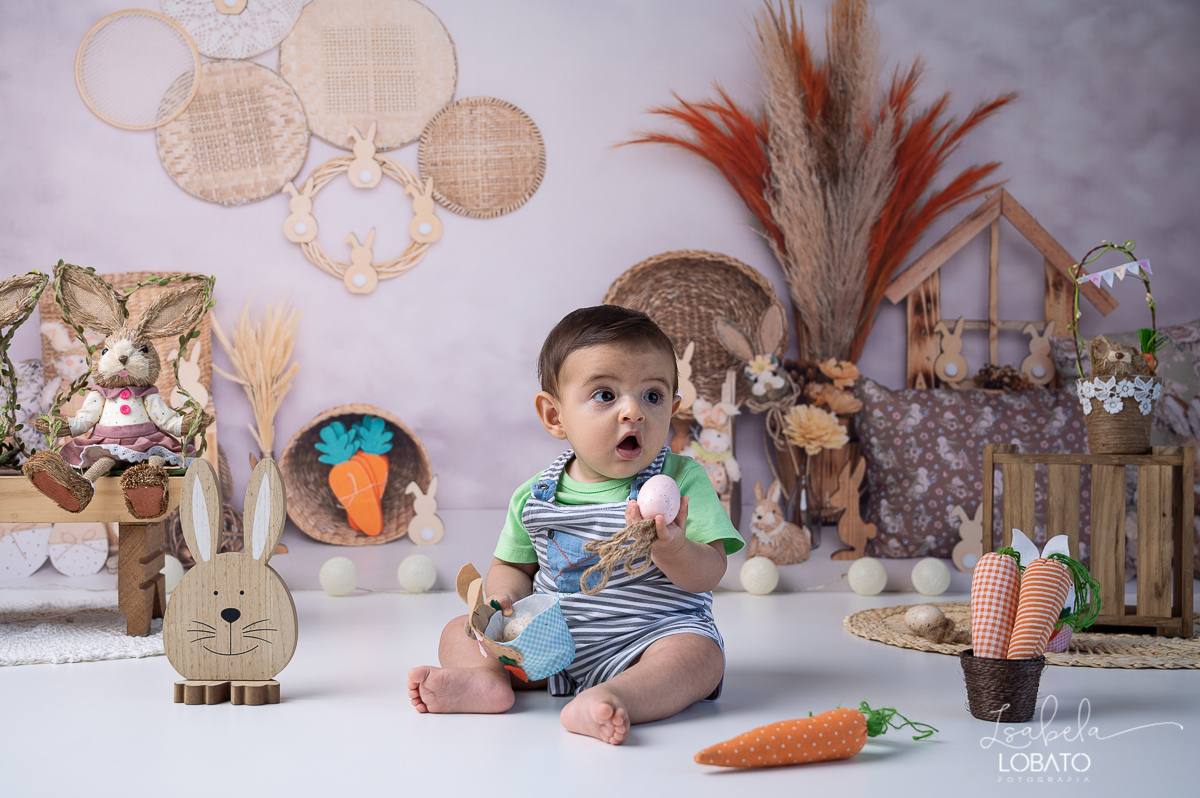 cenario-fotografico-de-pascoa-painel-fotografico-pascoa-fundo-fotografico-de-pascoa-sessão-fotografica-de-pasco-coelhinho-da-pascoa-fotos-de-pascoa-sessao-de-pascoa-2022-ovos-de-pascoa-fotografia-infantil-barbacena-cenoura-do-coelhinho-da-pascoa-estudio