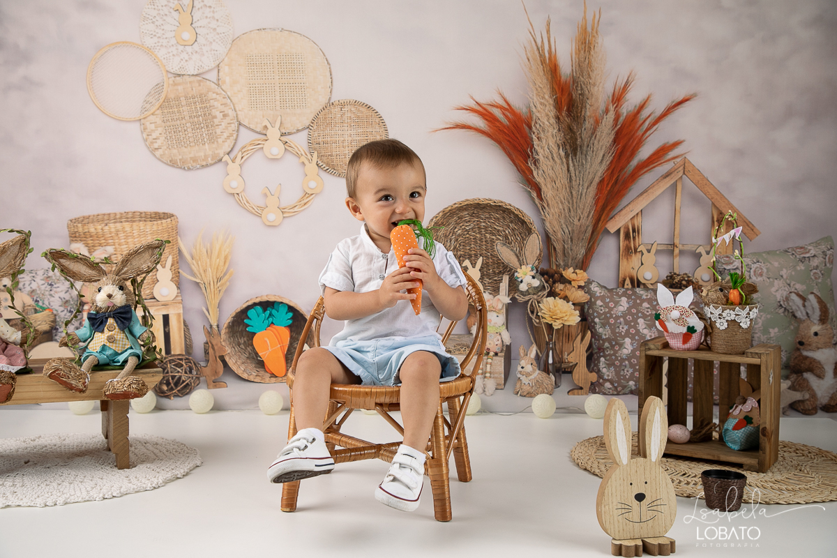 cenario-fotografico-de-pascoa-painel-fotografico-pascoa-fundo-fotografico-de-pascoa-sessão-fotografica-de-pasco-coelhinho-da-pascoa-fotos-de-pascoa-sessao-de-pascoa-2022-ovos-de-pascoa-fotografia-infantil-barbacena-cenoura-do-coelhinho-da-pascoa-estudio