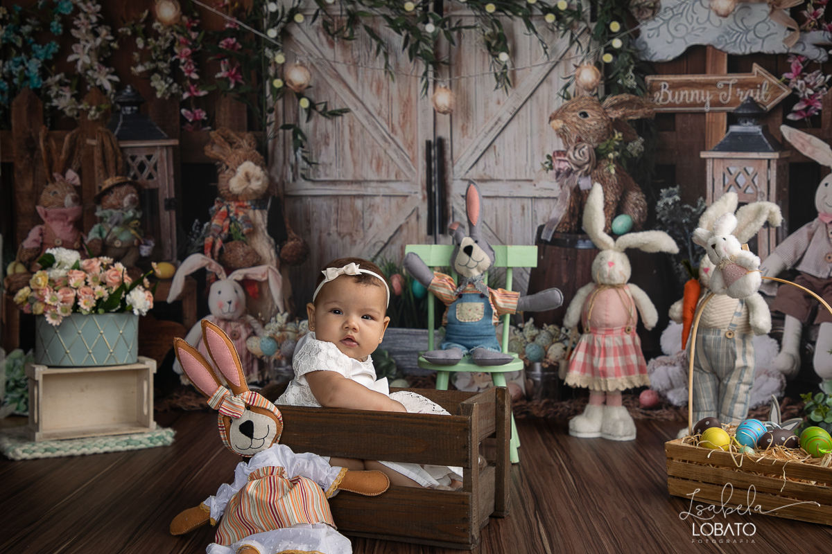 cenario-fotografico-de-pascoa-painel-fotografico-pascoa-fundo-fotografico-de-pascoa-sessão-fotografica-de-pasco-coelhinho-da-pascoa-fotos-de-pascoa-sessao-de-pascoa-2022-ovos-de-pascoa-fotografia-infantil-barbacena-cenoura-do-coelhinho-da-pascoa-estudio