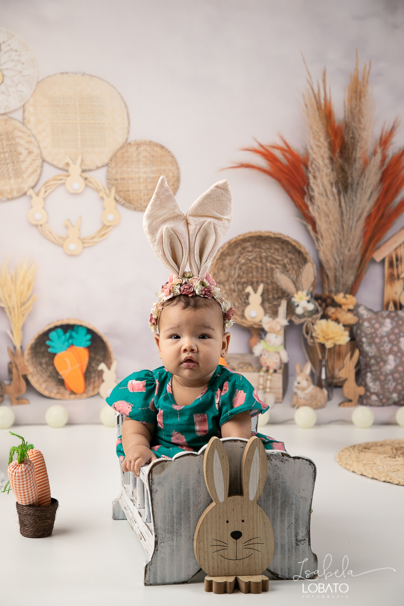 cenario-fotografico-de-pascoa-painel-fotografico-pascoa-fundo-fotografico-de-pascoa-sessão-fotografica-de-pasco-coelhinho-da-pascoa-fotos-de-pascoa-sessao-de-pascoa-2022-ovos-de-pascoa-fotografia-infantil-barbacena-cenoura-do-coelhinho-da-pascoa-estudio