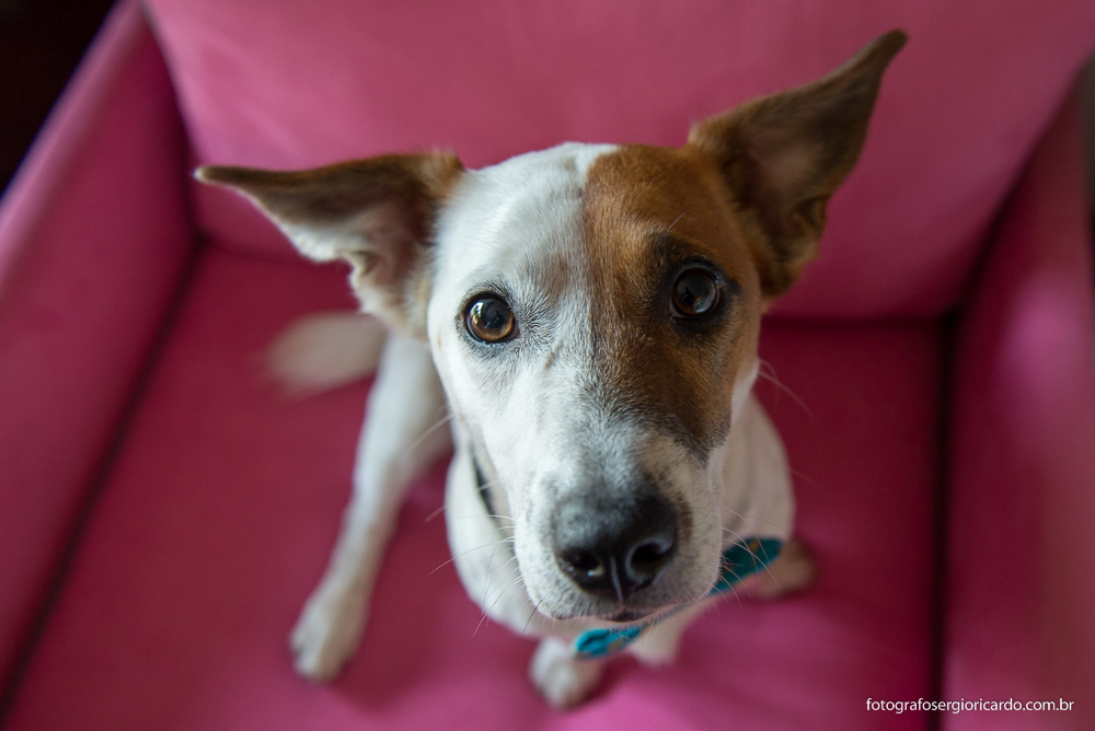 casamento-mini-wedding-fim-de-tarde-argentino-são-conrado-rio-de-janeiro