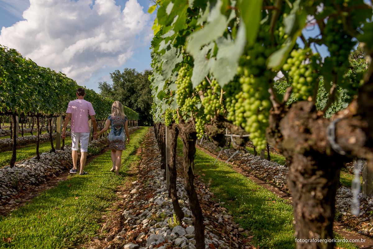 ensaio-pre-casamento-casal-parreiral-bento-gonçalves-rio-grande-do-sul