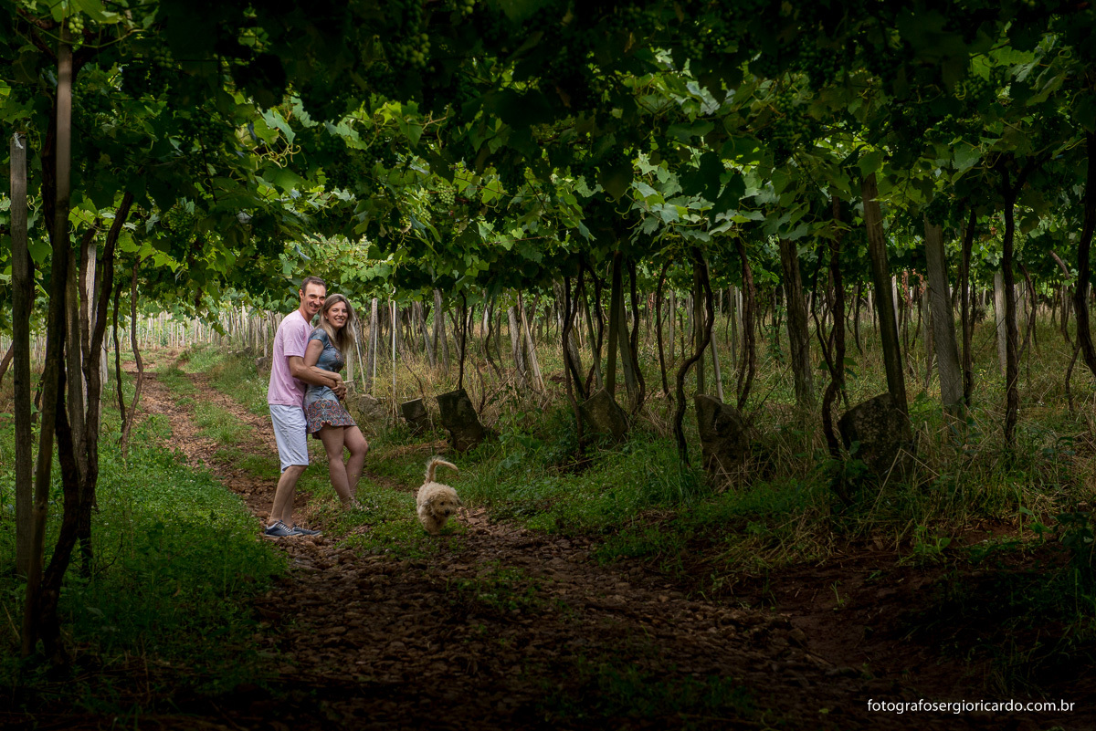 ensaio-pre-casamento-casal-parreiral-bento-gonçalves-rio-grande-do-sul
