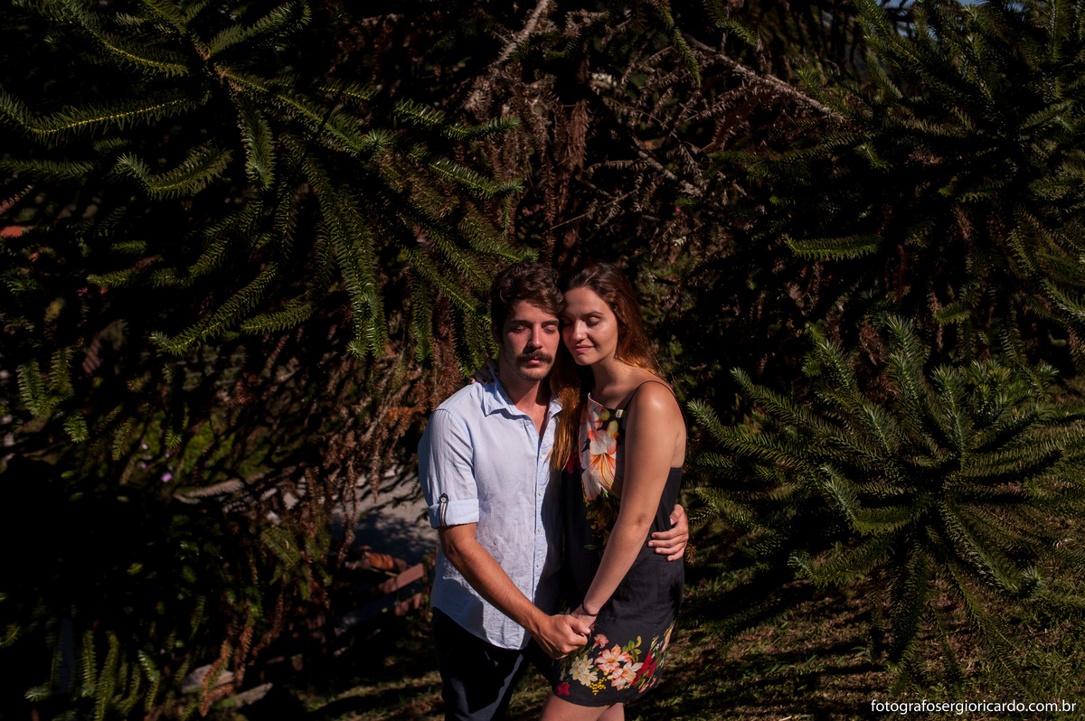 ensaio de casal de namorados em albuquerque teresópolis com pinheiro ao fundo