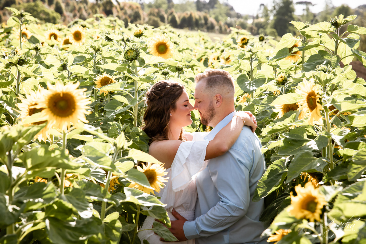 Chácara Sentinela; pre wedding Curitiba; ensaio de casal curitiba; casamentos curitiba; ensaio chácara; inspiração ensaio de casal; piraquara; pinhais; colombo; ensaio de família; ensaio com cachorros; barquinho; cavalo; debutantes; 15 anos curitiba;