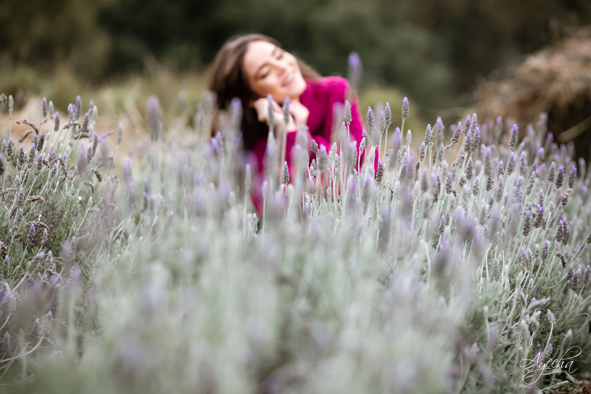 Chácara Sentinela; Ensaios em Curitiba, Ensaio com cavalo curitiba; lugar para fazer ensaio curitiba; fotografos curitiba; fotos lavandas; ensaio de debutante curitiba; 15 anos curitiba; book 15 anos curitiba; 